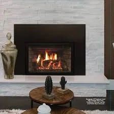 Renegade DVCT30 Direct Vent Gas Insert designer